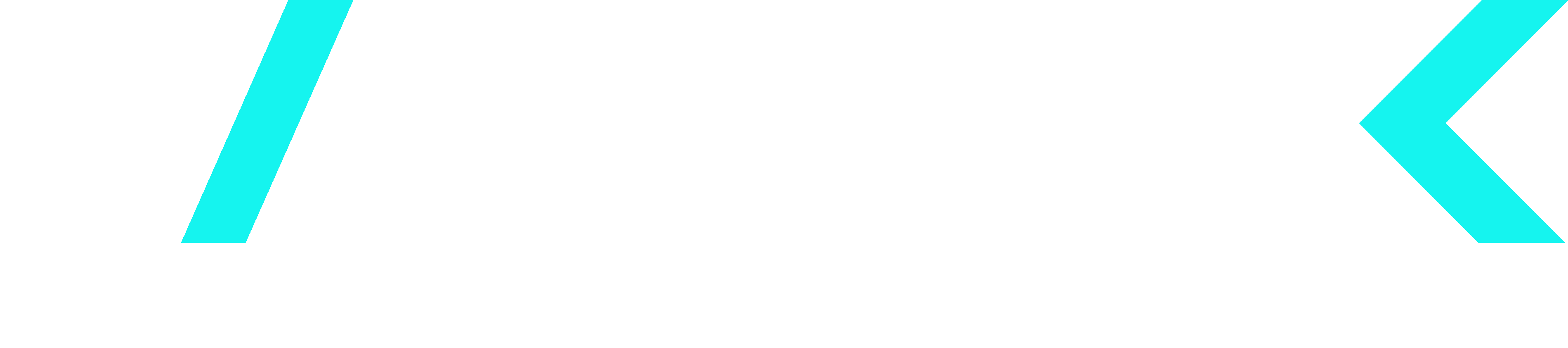 VertexOrthopedic Logo