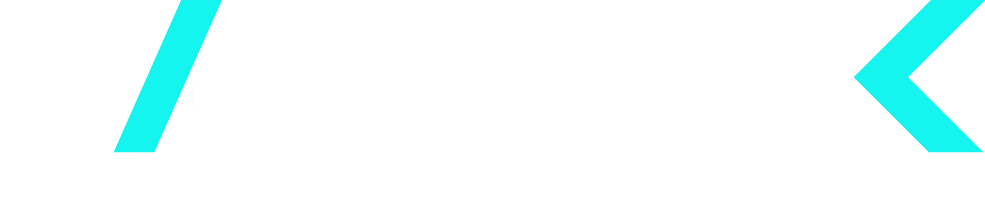 VertexOrthopedic Logo